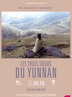 Poster der Allein in den Bergen von Yunnan