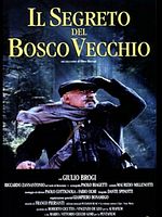 Poster der Il Segreto del bosco vecchio