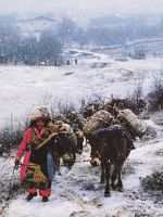 Poster der The Tea Road