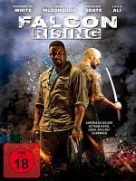 Poster der Falcon Rising