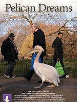 Poster der Pelican Dreams