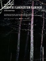 Poster der Campo de Flamingos Sem Flamingos