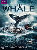 Poster der The Whale