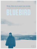 Poster der Bluebird