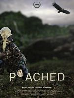 Poster der Poached