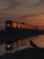 Poster der In Transit