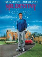 Poster der Mr. Destiny - Voll Daneben