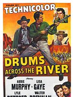 Poster der Adlerschwinge