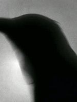 Poster der Le Corbac