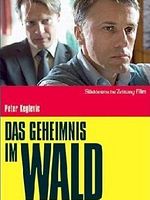 Poster der Das Geheimnis im Wald
