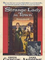 Poster der Aus dem Leben einer Ärztin