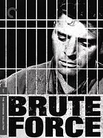 Poster der Zelle R 17