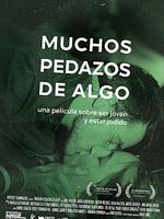 Poster der Muchos pedazos de algo