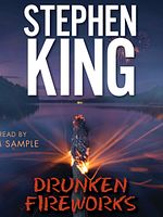 Poster der Drunken Fireworks