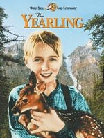 Poster der Die Wildnis ruft