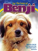 Poster der Benji in Gefahr