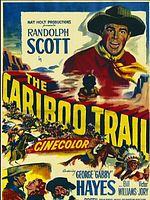 Poster der Die Todesschlucht von Arizona