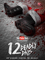 Bild von 12 Deadly Days