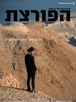 Poster der The Burglar