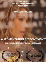 Poster der La Segmentation des sentiments