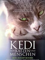 Poster der Kedi - Von Katzen und Menschen