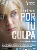 Poster der Alles deine Schuld