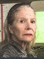 Poster der Die letzte Reise