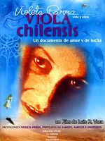 Poster der Viola Chilensis