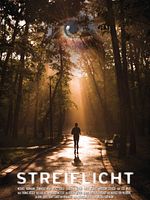 Poster der Streiflicht