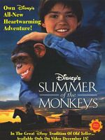 Poster der Jay und die Affenbande