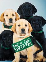 Poster der Pick of the Litter