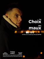 Poster der Le Choix des maux