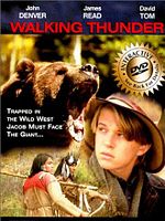 Poster der Auf der Spur des großen Bären