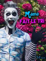 Poster der Mémé fait le tri