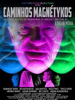 Poster der Magnetick Pathways