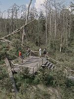 Poster der Rūgštus Miškas