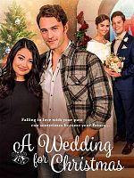 Poster der A Wedding For Christmas