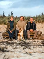 Poster der Nord bei Nordwest: Gold!