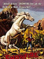 Poster der Von Cowboys gejagt