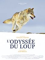 Poster der L'Odyssée du loup