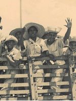 Poster der Soldados da Borracha