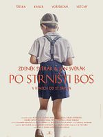 Poster der Po Strnisti Bos