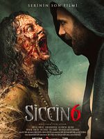Poster der Siccin 6