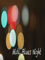 Poster der Midi, Blues Night