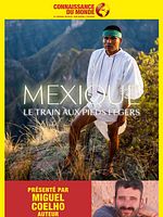 Poster der MEXIQUE, Le train aux pieds légers