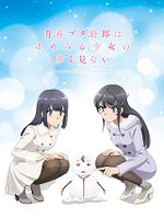 Poster der Gekijouban Seishun Buta Yarou wa Yumemiru Shoujo no Yume wo Minai