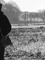 Poster der Perlinpinpin, L'Enfance Perdue