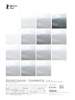 Poster der A Storm Was Coming