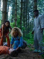 Bild von Utopia Falls