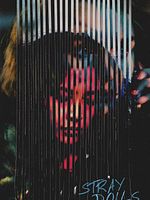 Poster der Stray Dolls